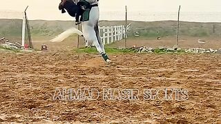 #best #yungeenace #arabic #horse #riders#of#world#2023  #videos of #horses#ahmad#short#vedio#ytshort