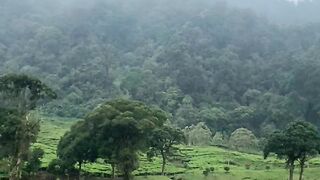 Alam yang indah 3