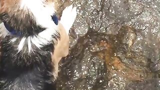 Me and my stupid dog every day9