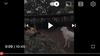 Compilation des moments les plus drôles de l'année! 4