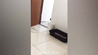 New Funny Animals ???? Funniest Cats and Dogs Videos ???????? Part 18