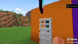 minecraft 8