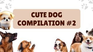 Cute Video #2