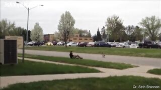 Funny Animals Scarring And Chasing People 2021 Compilation 2