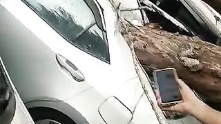 لاہور میں طوفان سے تباہی