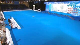 Fci dog dance video