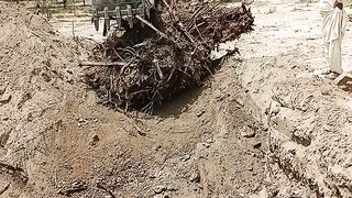 Excevator working