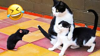 Funny Animal Videos 2023 ???? - Funniest Dogs and Cats Videos ???? #7 2
