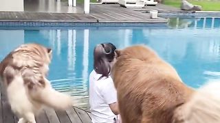 dog and owner