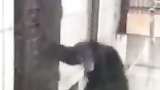 cuando te vienen persiguiendo