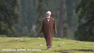 Tosamidan Meadows in kashmir❤