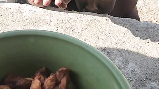 TRY NOT TO LAUGHING I Best Funny Videos Compilation 2023 # 229