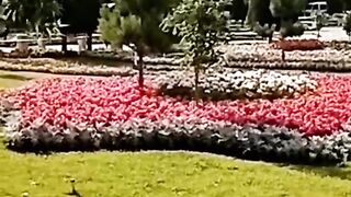 Мелодия
