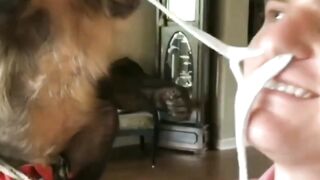 Funny animal video 2022
