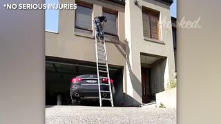 TOTAL IDIOTS AT WORK