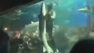Funny animal videos I found on Instagram and Tiktok