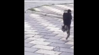 Like a boss compilation