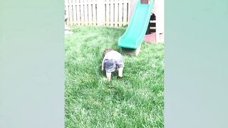 Funny Babies Playing