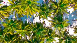 wonderful beach in the world 4k