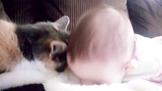 Baby and cat fun funny video