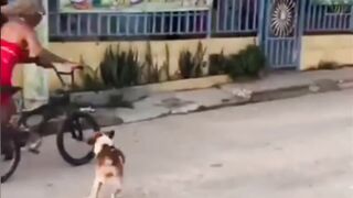 Funny compilation