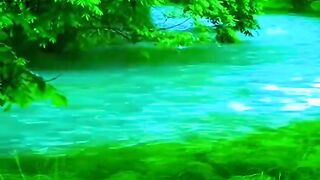 Nature n art