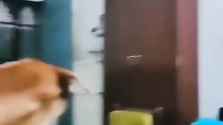 Funny memes 62