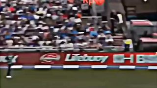 Cricket rishabh pant shorts video