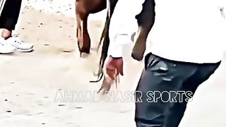 #best#dance#of#horses#horse#best#dance#of#pakistan