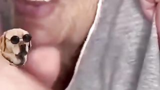 Nima gap bollar