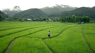 美丽乡村