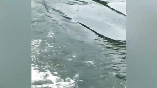 Try Not To Laugh Funny Videos - Don't Try These Outdoor Fails At Home.