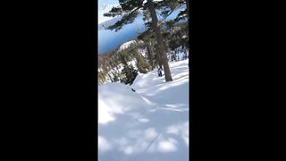 Best Skiing TikTok Compilation 2023 (P.1)