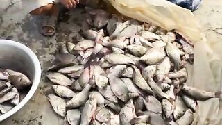 SUPER FISHERMAN  2