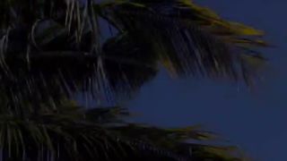 this is a video about video phon, home