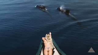 Catch me if I fall-Alexara
