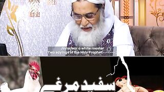 Safaid Murghay Se Jadu Ka Tor.
