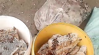 Honey on Village