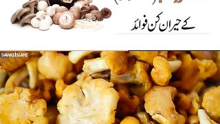 Mashroom (Khumbi) Kay Hairan Kun Fawaid