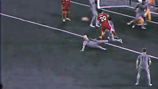 Football goal fantastic