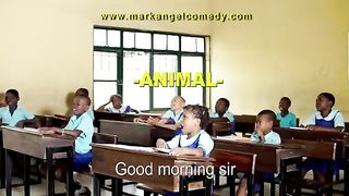 Animal comedy