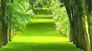 Video 274 -7-6-23