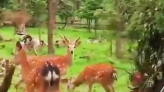 Video 275 -7-6-23