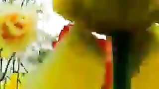 Video 277 -7-6-23