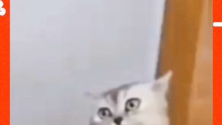 Teka teki lucu 3