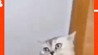 Teka teki lucu 4