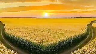 Video 283 -7-6-23