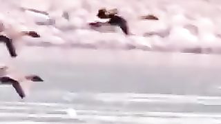 Video 285 -7-6-23