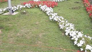 Beauty of world Islamabad/Argentaina parke Islamabad pakistab/SohailT22vlog