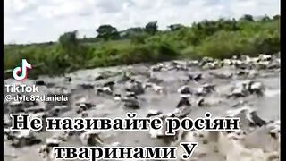 ПОТОПЪТ 2